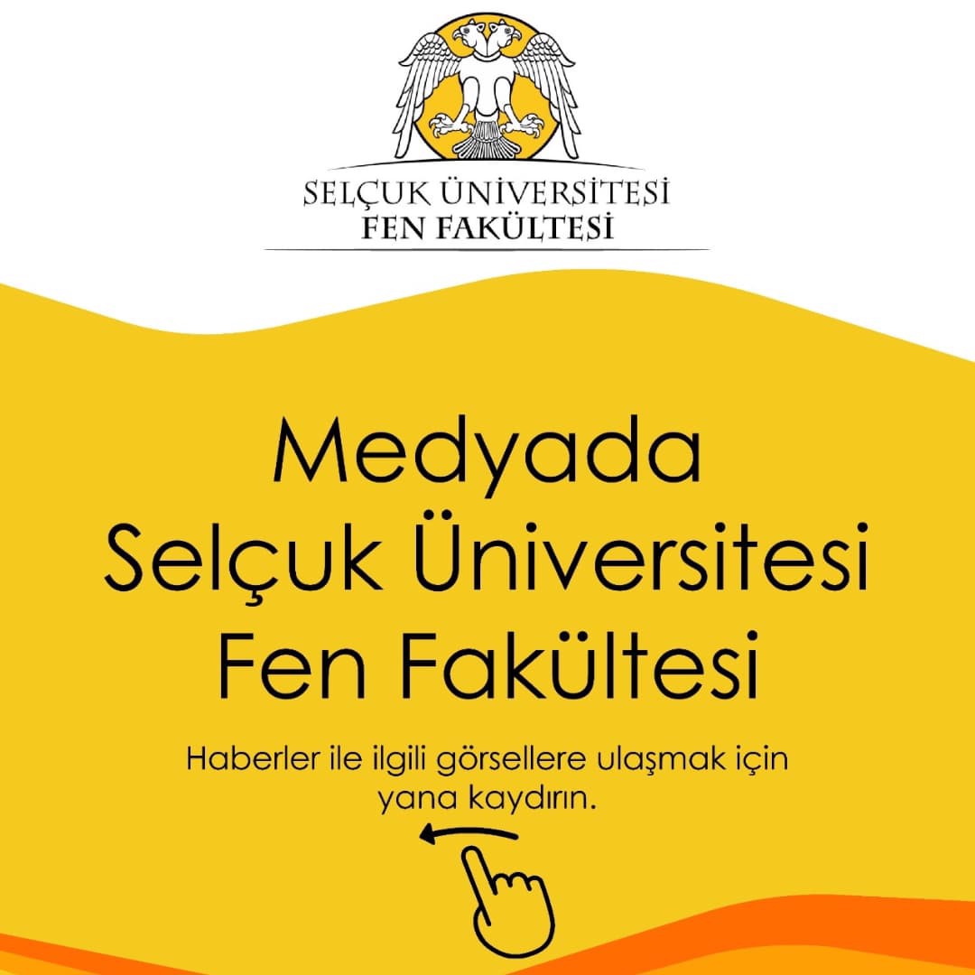 Kestel ormanı çevre temizliği